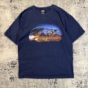 Vintage Harley Davidson Shirt Mens XL Blue Naples Florida Eagle Graphic